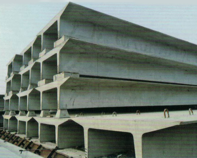 雙T板